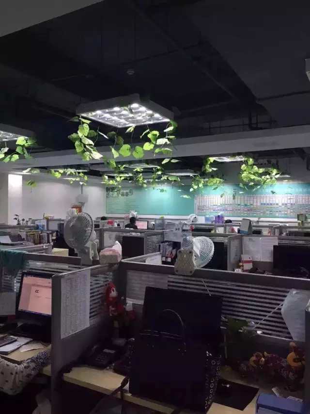 1563436593133278.jpg 1558422724258621_副本.jpg